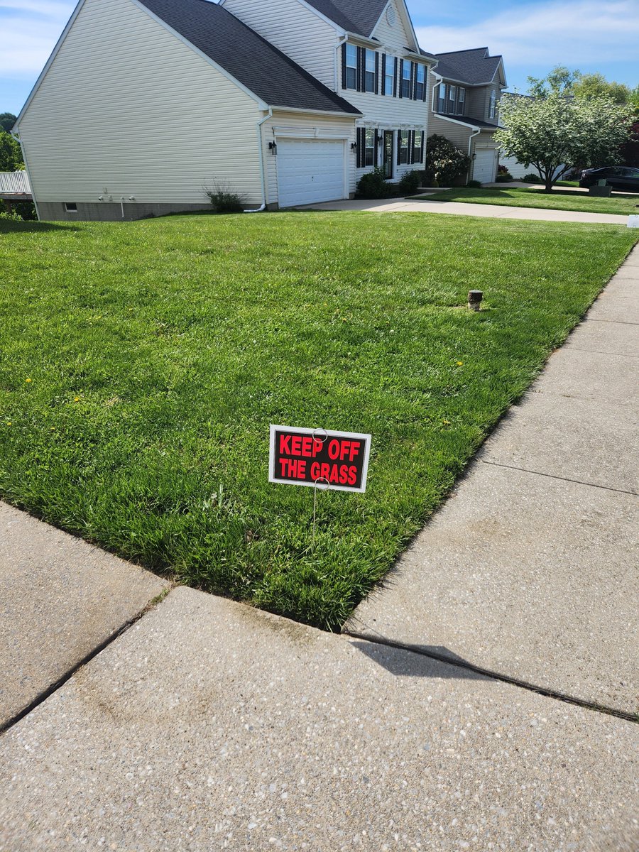 Asmoridin's tweet image. Finally declared war on the dandelions this weekend! ⚔️🌱

Hit the lawn with some Spectracide to reclaim the yard. Now we play the waiting game to see if it actually works. ⏳🤞

Anyone have experience with it? Does it live up to the hype?

#LawnCare #HomeImprovement #Maryland
