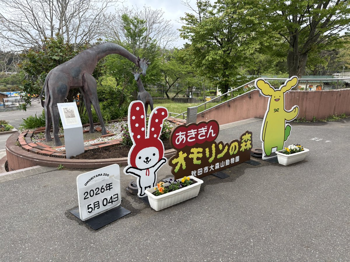 ミナリーサ tweet media