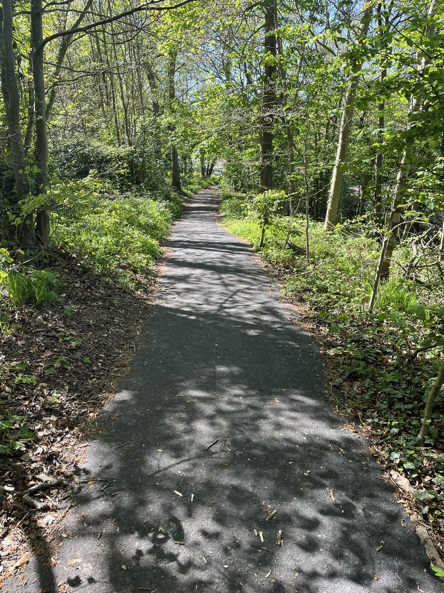 Rail_Complainer's tweet photo. Last weeks #RCsAdventures takes us to #Sheffield.
1st walk around Herdings &amp; Graves Park.
@swtrains_watch https://t.co/yUZvOt6pGl
