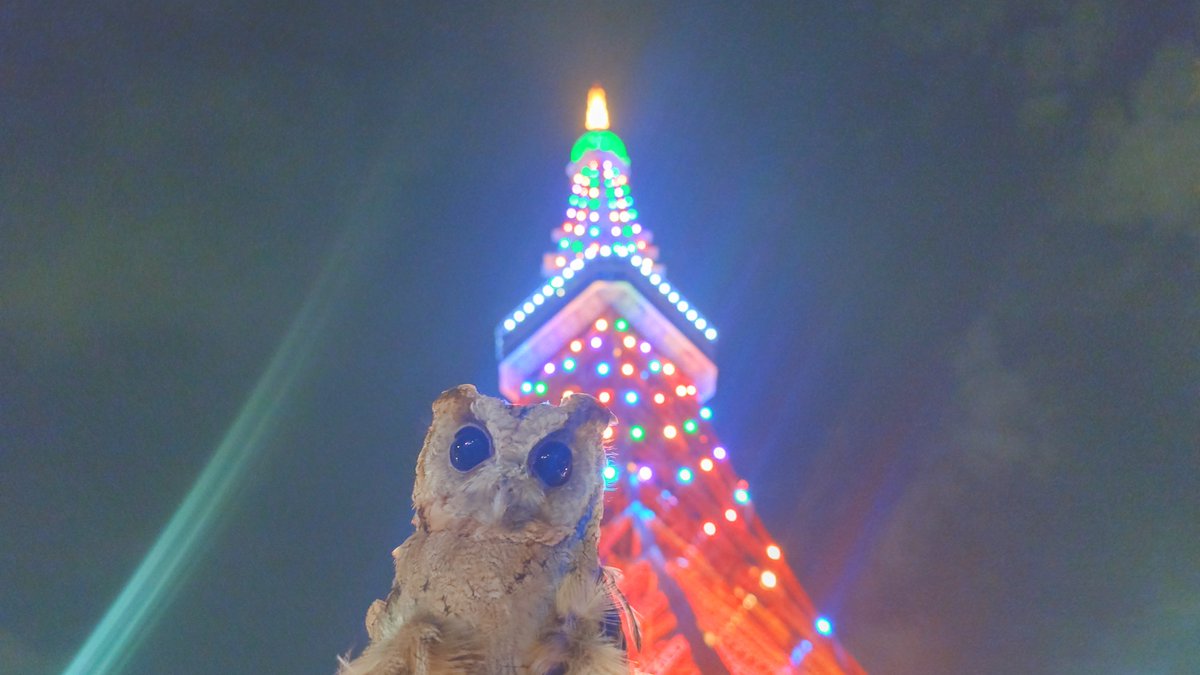 ミミズク