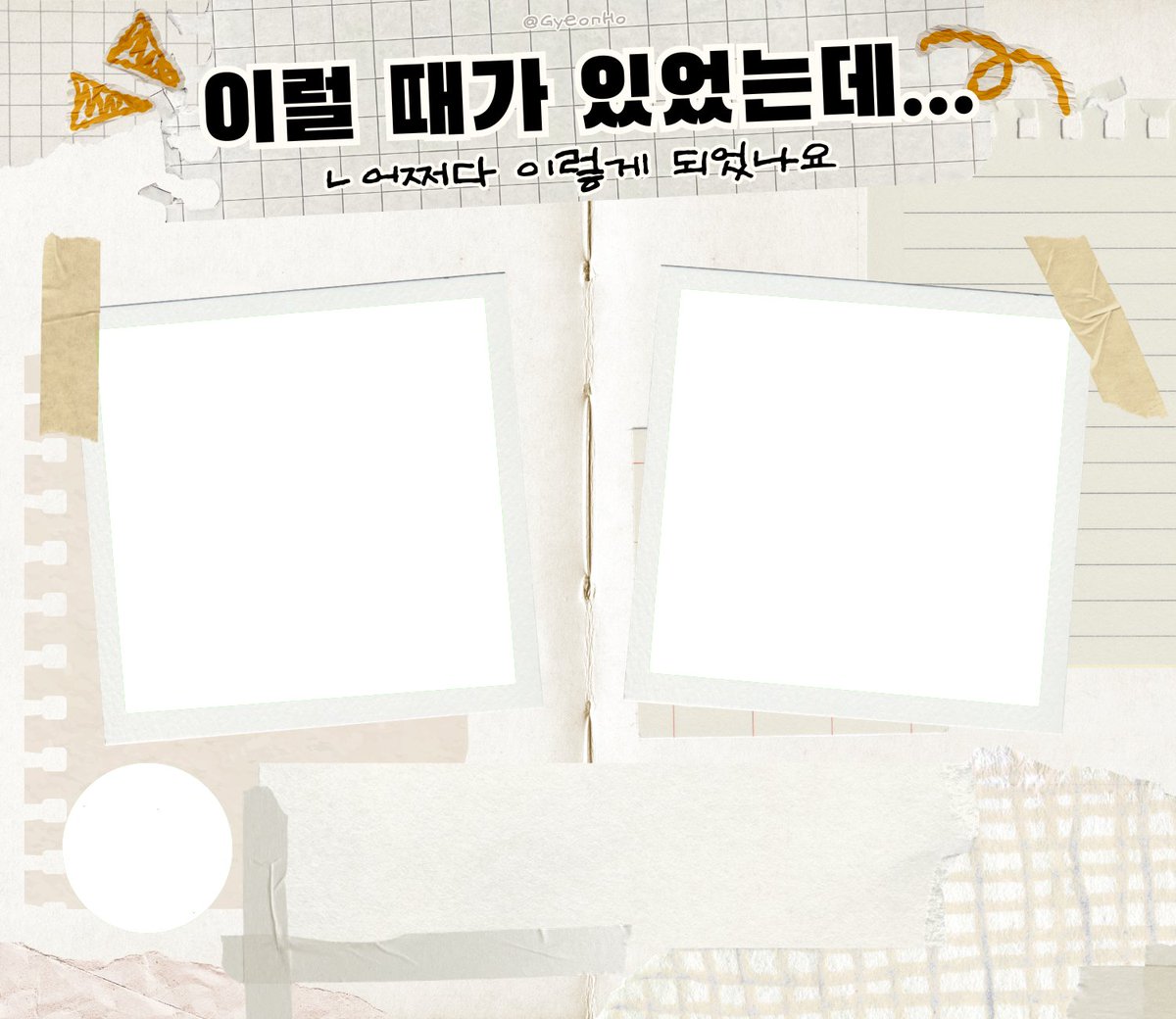 견호 tweet media