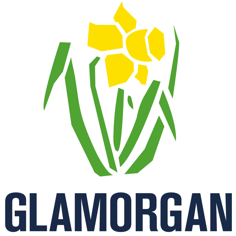 swsportsnews's tweet image. GLAMTASTIC! 
#Southampton #Hampshire 214 &amp;amp; 253 #Glamorgan 536-7 dec win by innings &amp;amp; 69 runs 
#GlamCricket reaction @GlamCricket