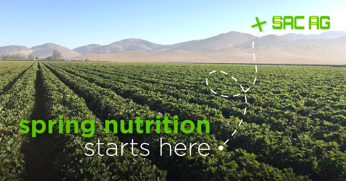 Spring fieldwork is in full swing across the West Coast and now’s the time to make sure sulfur isn’t the missing link in your customers' fertility program. Sac Ag is here to support ag retailers &amp; distributors with ATS=®: ow.ly/YjPi50YUwGM