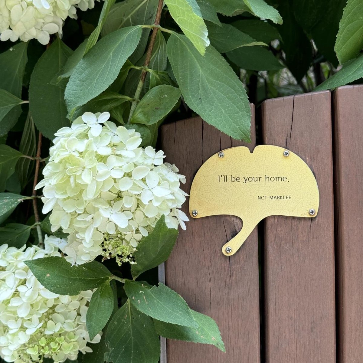 ᴄᴀʀᴏʟɪɴᴇ tweet media