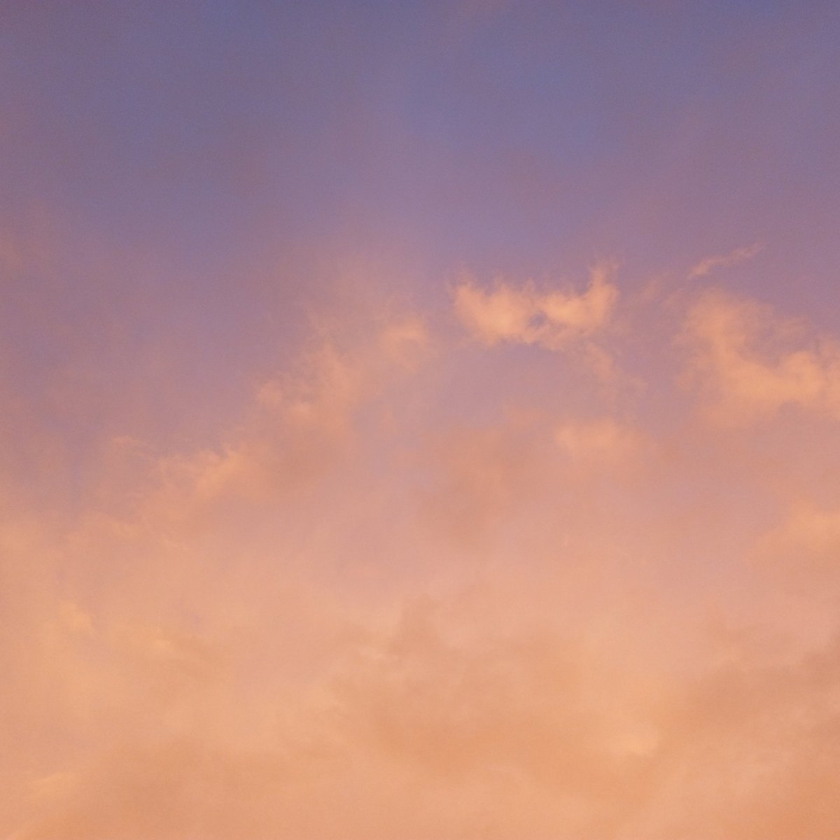 DropZXBT's tweet image. Why are the clouds yellow?

If anyone knows about this, tell me in the comments.

#yellowclouds #sky