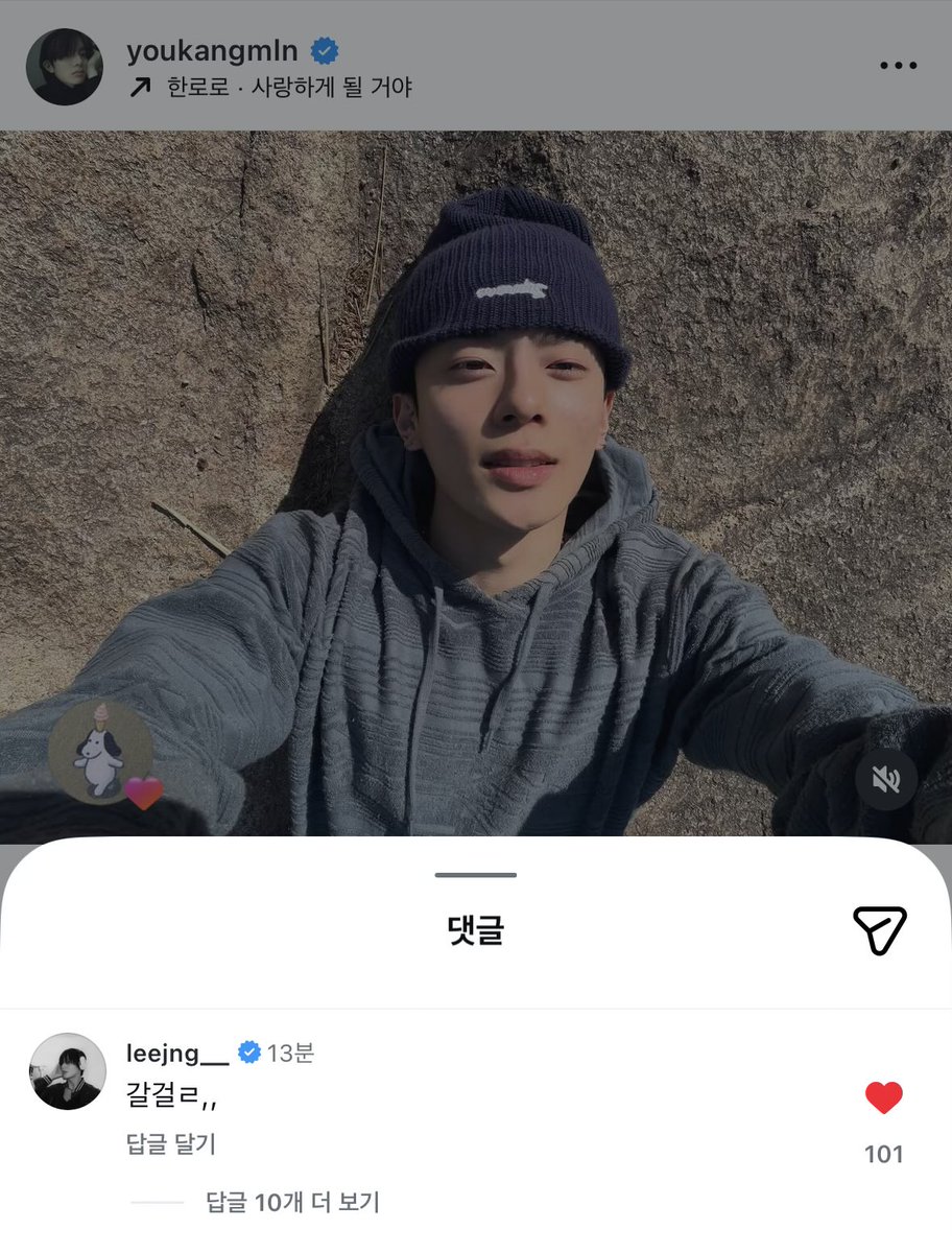 리코타 tweet media