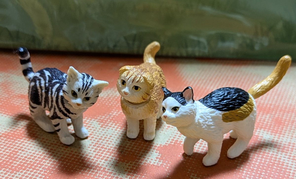 購入前に連絡下さい★猫飼ってます•*¨*•.¸♬︎ にっぽんのリサ猫（四番、益子）あわせゆう