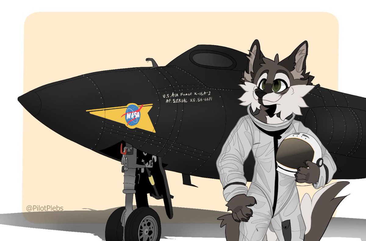 DakotaAstroWolf's tweet photo. Fursona vs Favorite plane

Its pretty obvious. https://t.co/8QM97CVTZD