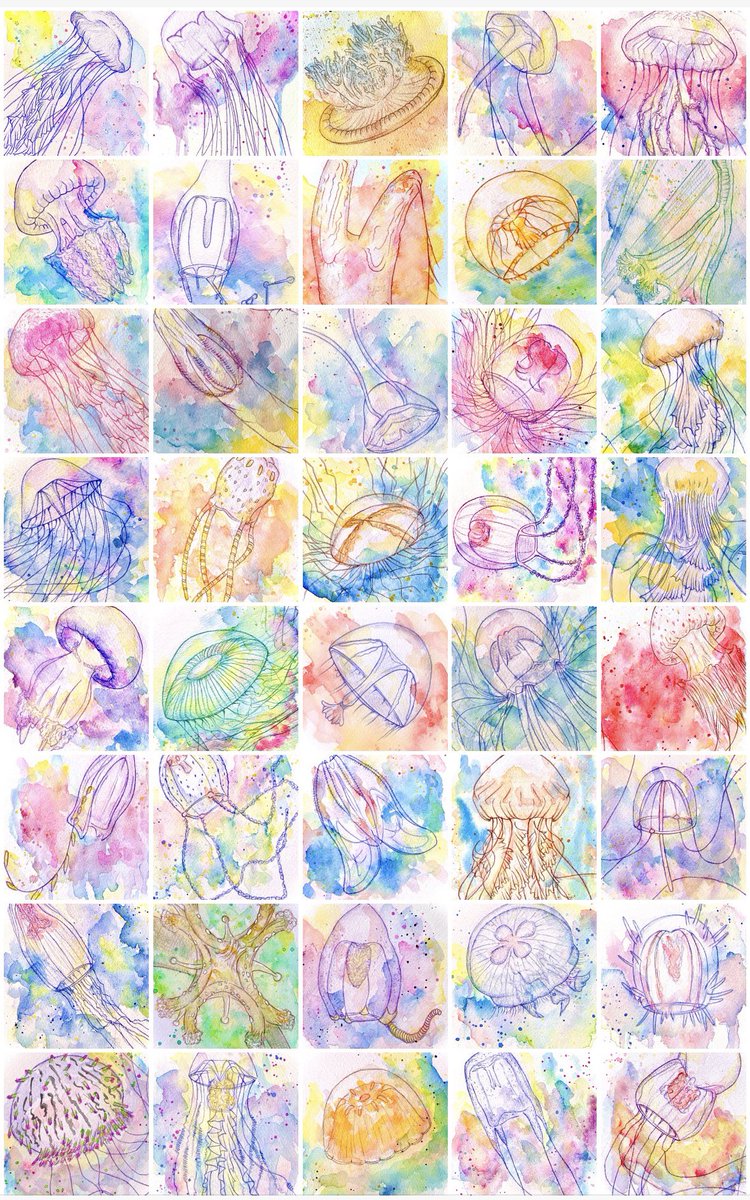 きのくら屋🪼ころもち杏 tweet media