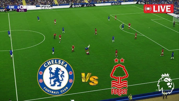 Sunderland vs Chelsea Live Stream tweet media