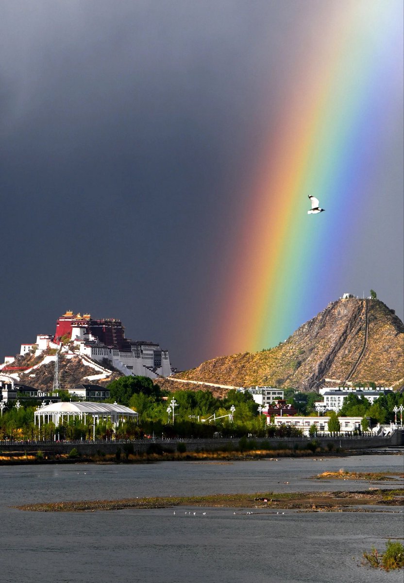 (大美西藏）ཡིད་འོང་བོད་ལྗོངས། （互fo 💯必回） tweet media