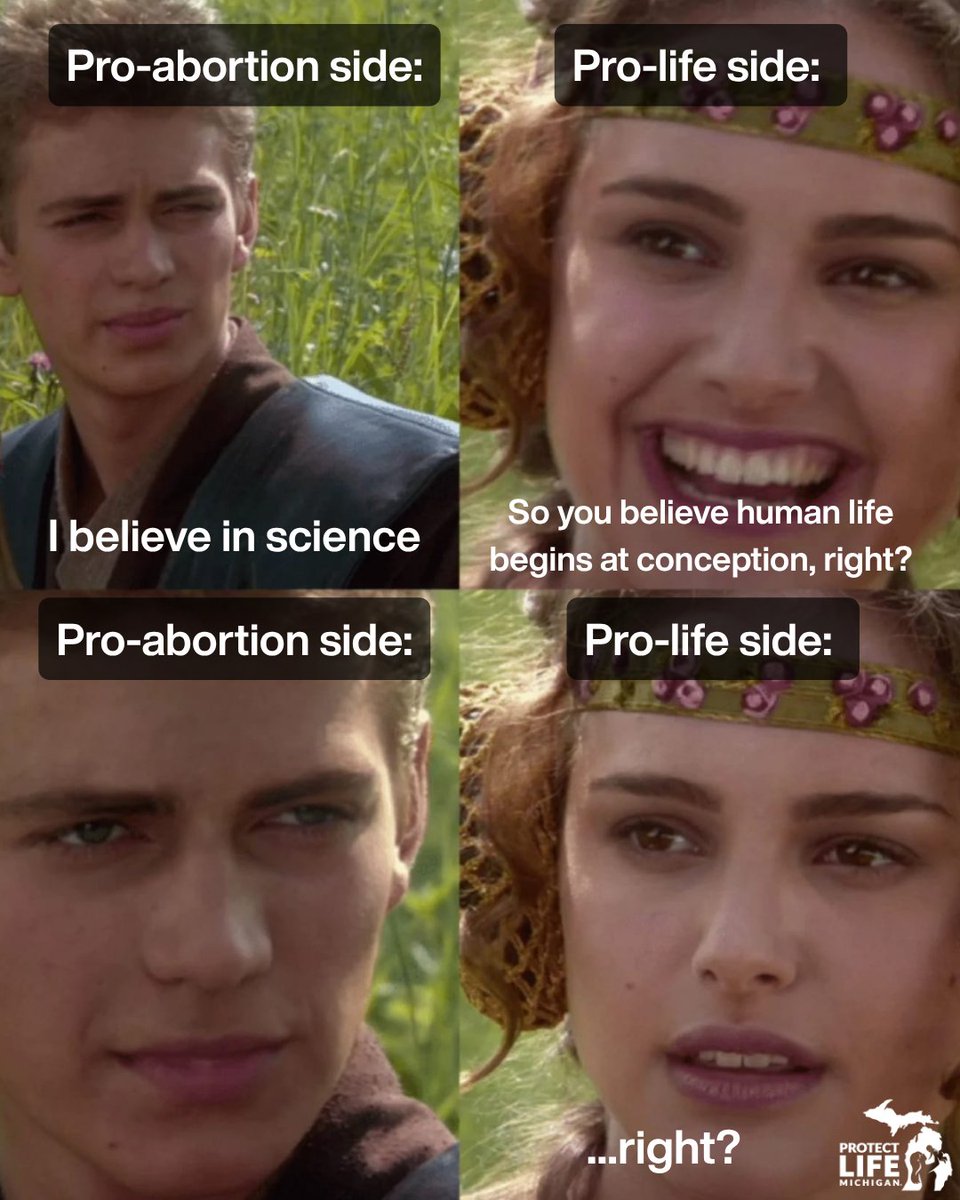 ProtectLifeMI's tweet photo. May your 4th be full of pro-life Star Wars memes 💫 https://t.co/97uIkbgAer