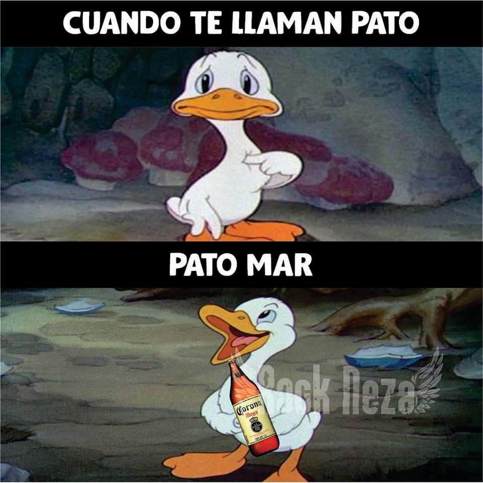 🍒🌻La Patito🌻🍒 tweet media