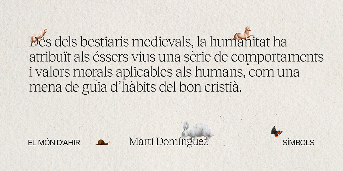 El Món d'Ahir tweet media
