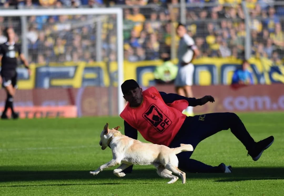 Out Of Context Football tweet media