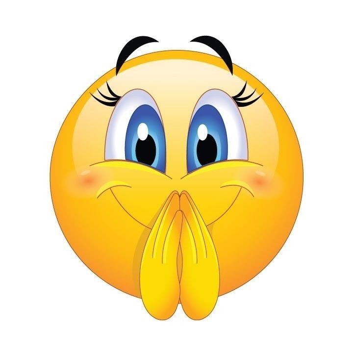 🐰 tweet media