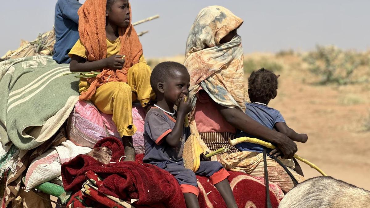 Luce_news's tweet image. 🔴 Darfur, vent’anni dopo i bambini continuano a soffrire e morire. Ma stavolta il mondo non si indigna quotidiano.net/luce/attualita… #Darfur #Bambini