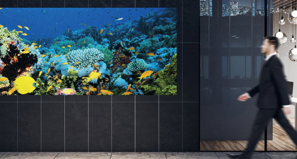 Panasonic Projector & Display tweet media
