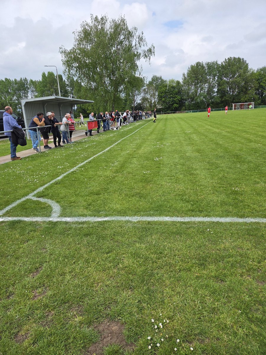 Sharpness AFC tweet media