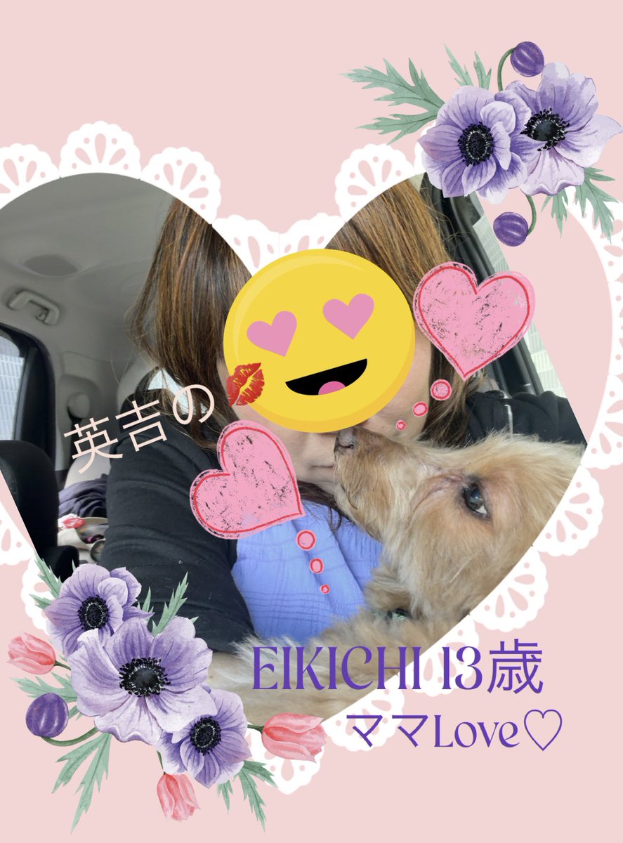 CHIEIKICHI tweet media