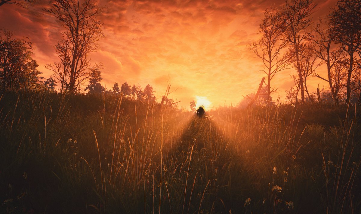 Striker_Vp's tweet photo. The Witcher III Wild Hunt

#TheWitcher3 https://t.co/7PJk1RhHDf