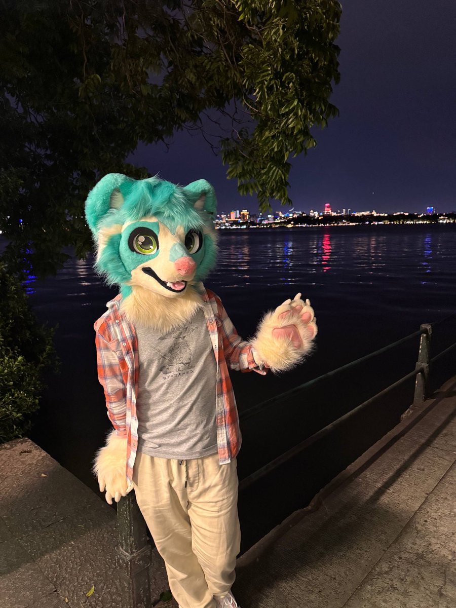 CuteRaccoo's tweet photo. Westlake - a sanctuary of calm and glowing nights 
#FursuitEverday #Furry #Hangzhou https://t.co/kqIfruhc6E