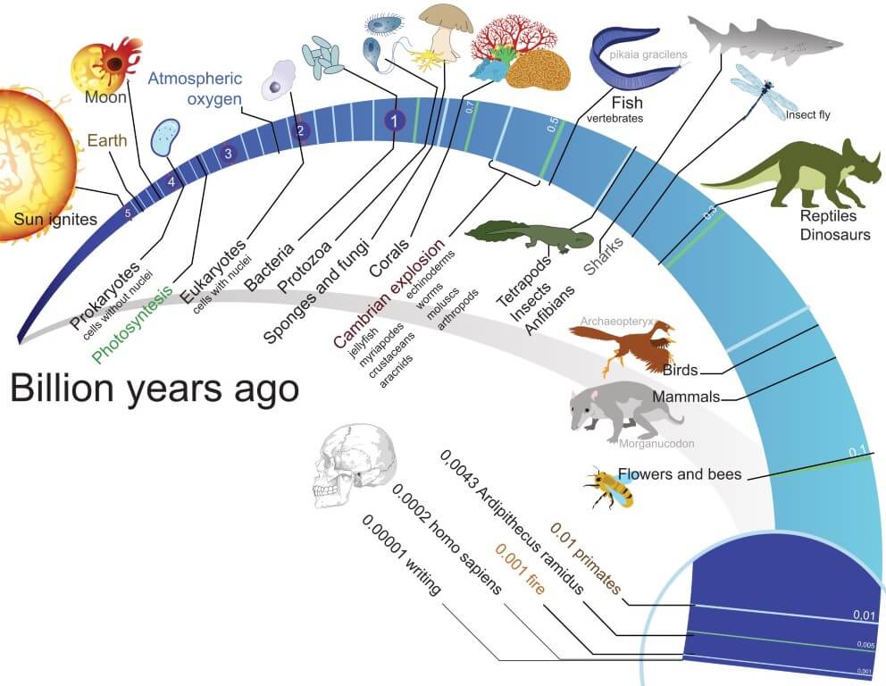 Not Evolution tweet media