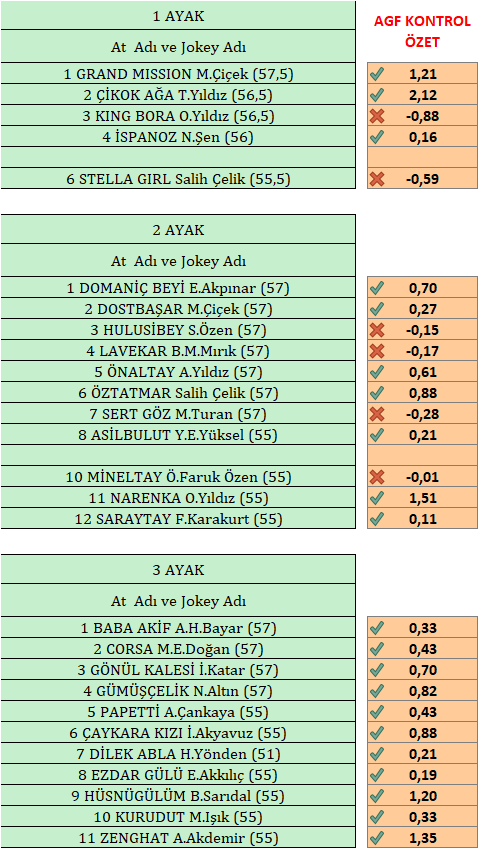 Yarisseverinsesi tweet media