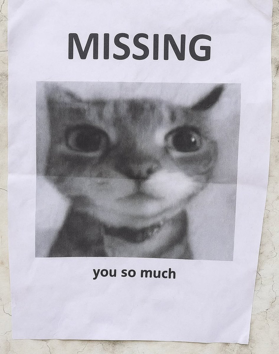 smol silly cat tweet media