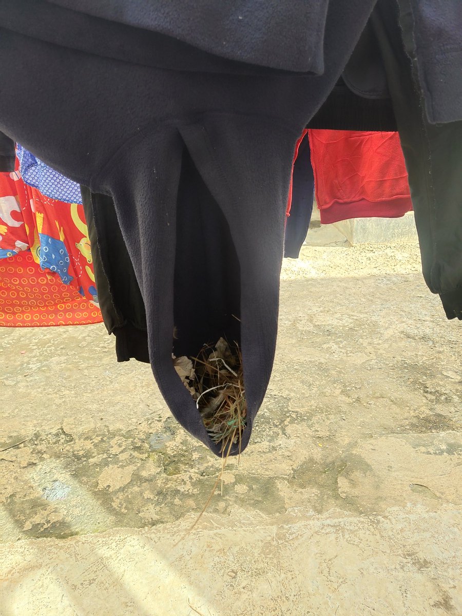 skueed_'s tweet photo. Mnatax mpaka ndege wanaanzisha Airbnb's kwa hoodies https://t.co/nF30cHvWRV