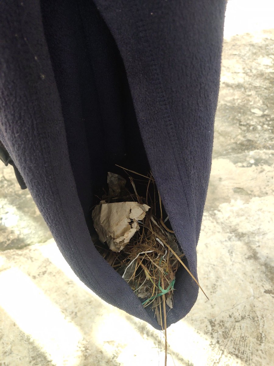 skueed_'s tweet photo. Mnatax mpaka ndege wanaanzisha Airbnb's kwa hoodies https://t.co/nF30cHvWRV