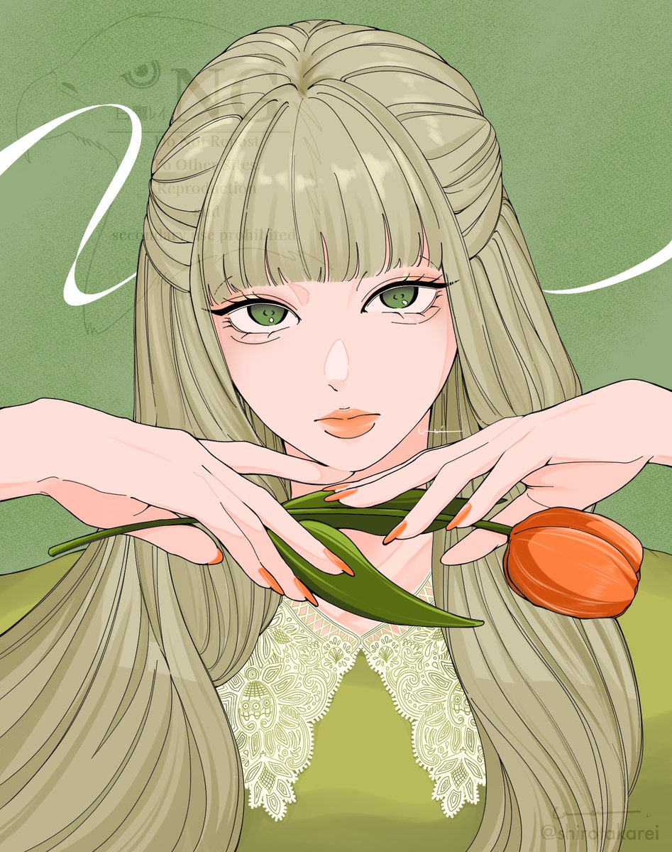 白鷹レイ tweet media