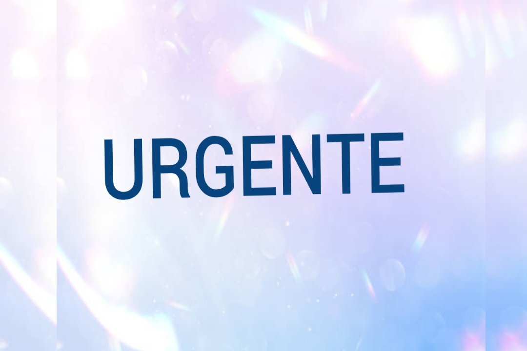Ubaldo Macú tweet media