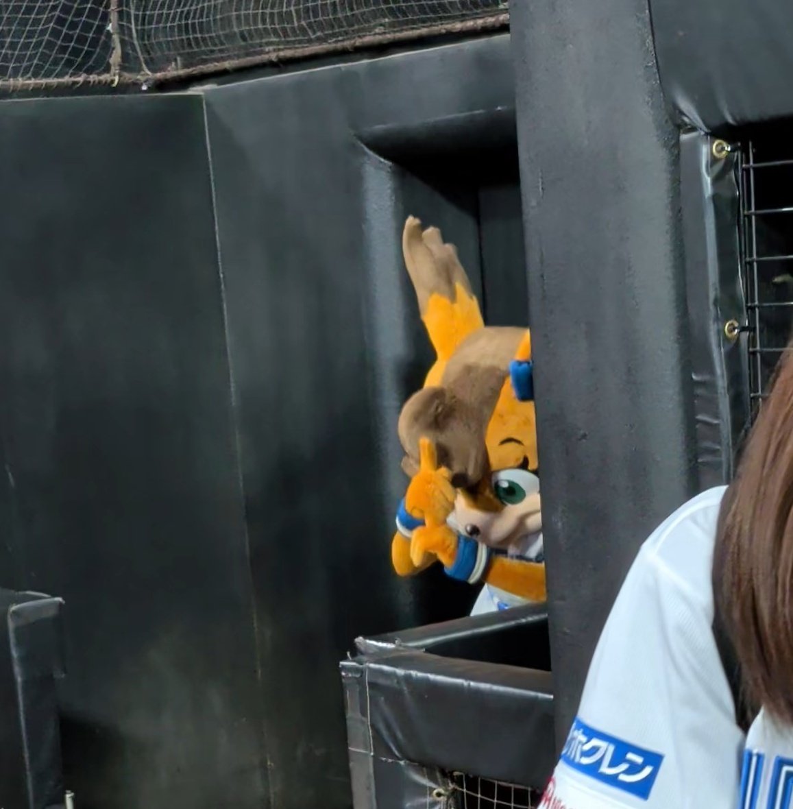 はむゆ（5さい）🦊🐮😸 tweet media