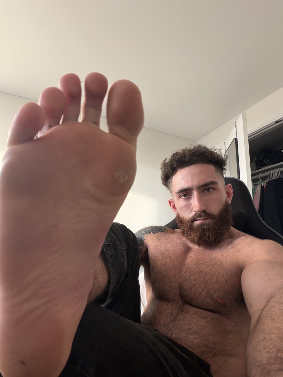 Alpha Brad tweet media
