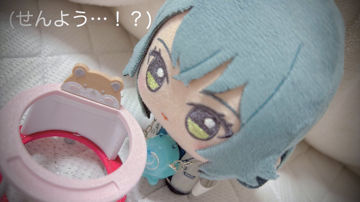 三色つくね🍡 tweet media