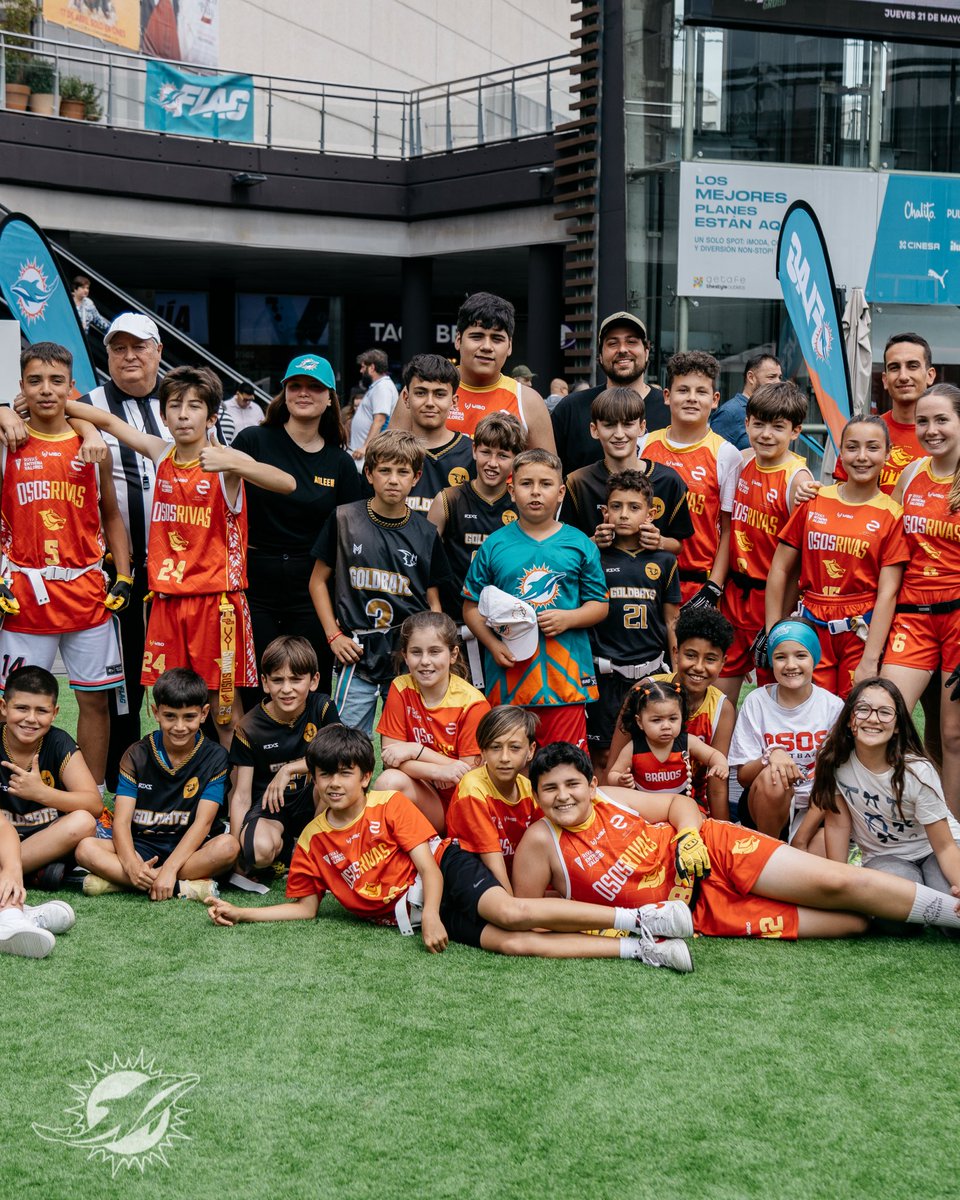 Dolphins en Español tweet media