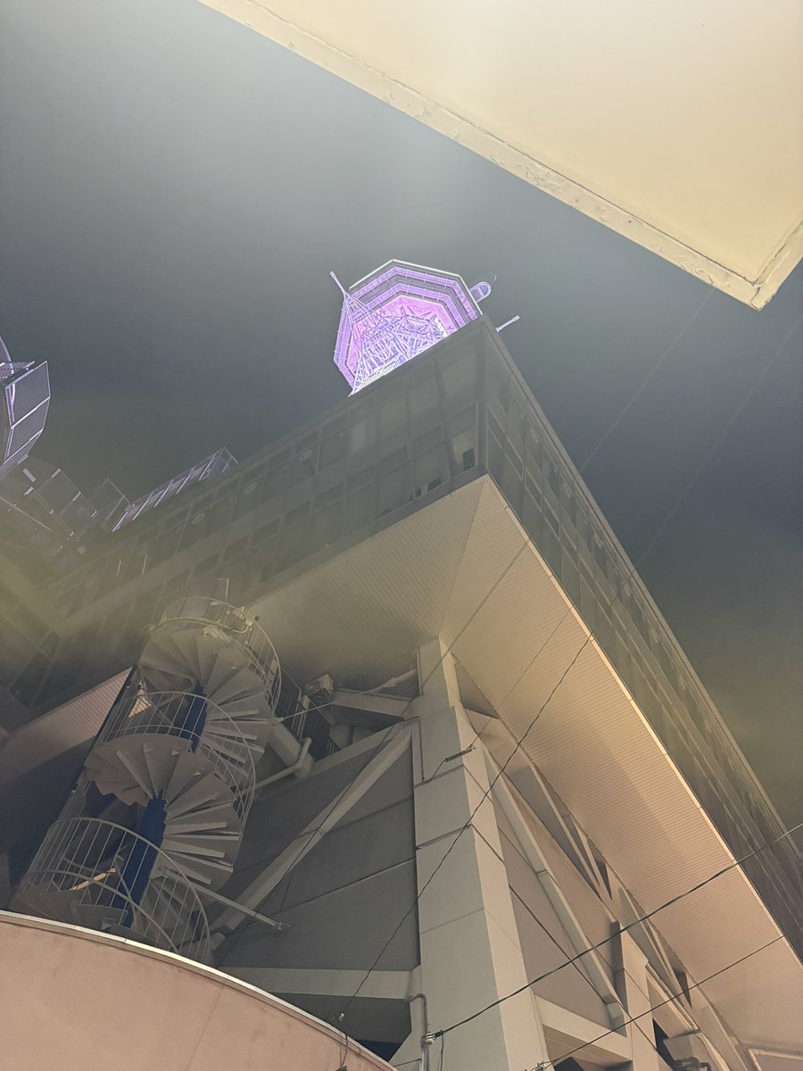 テレ猫 tweet media
