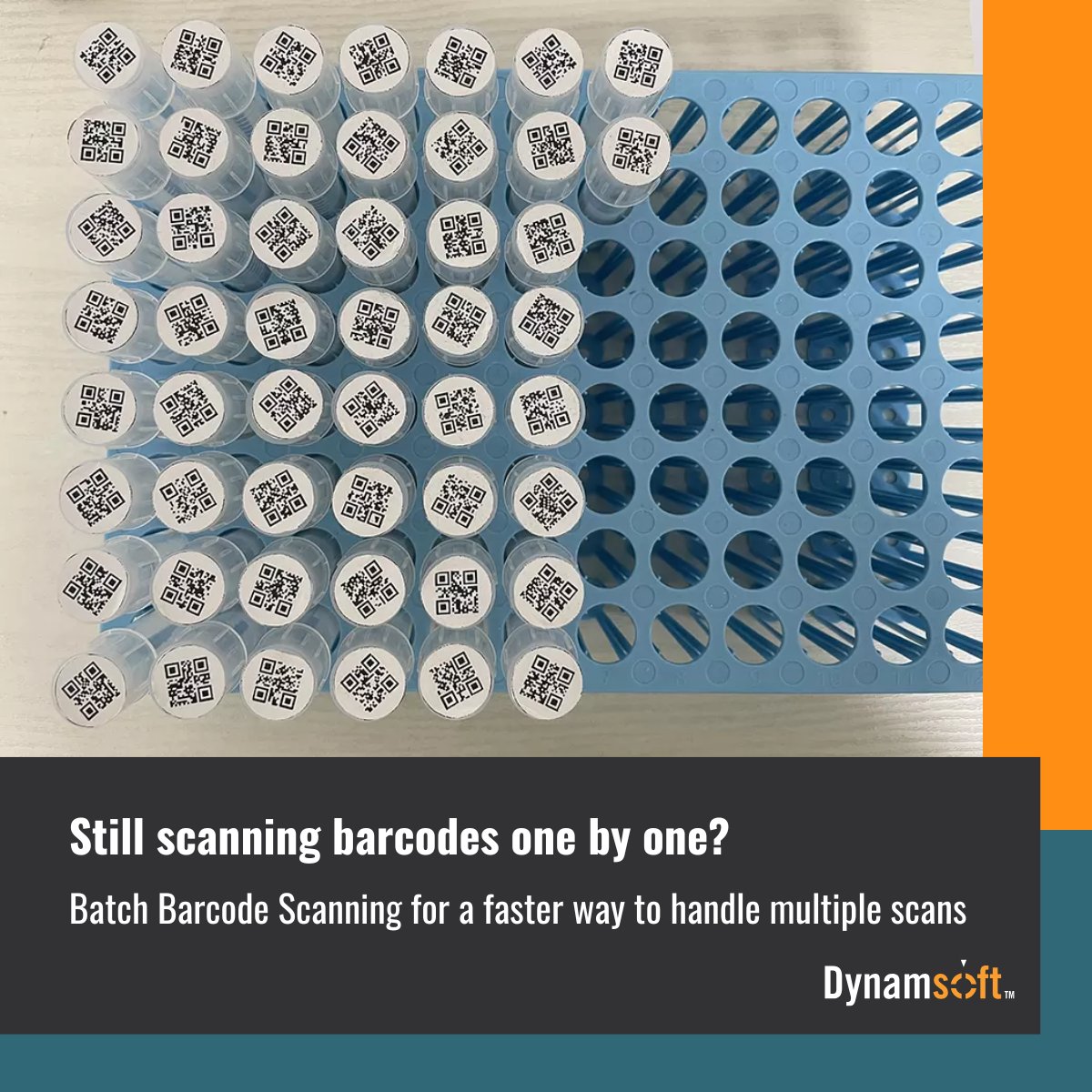 Dynamsoft tweet media