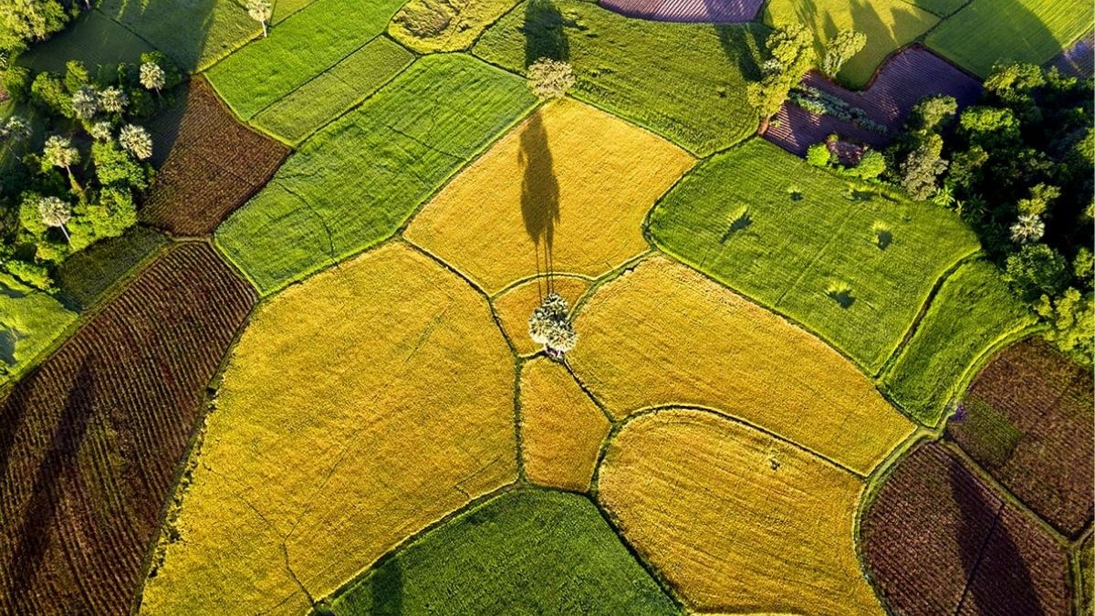 ANuVy0's tweet photo. Vietnam's lush fields glow with beauty, nurtured by our resilient people's spirit! 🌾🌿🇻🇳
Feel the pride? Share your love! ❤️
#VN #VietnamPride #GoldenRice https://t.co/DmcLhGvLuk