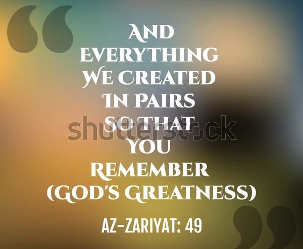 subhi_life's tweet image. Value comes from rarity.If people were equal in all qualities,distinction would disappear.
If everyone had the beauty of Prophet Joseph,where would excellence be seen?

Contrast reveals beauty,and rarity creates value.

Based on Quran 51:49

#Quran #value #Wisdom #Pairs #Contrast