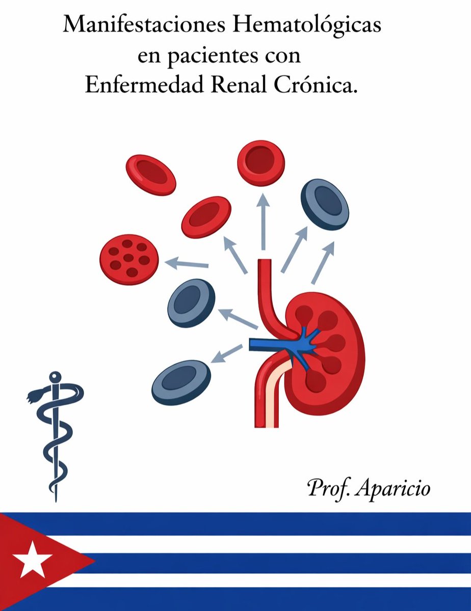 JLAparicioDr's tweet photo. 🩸La sangre es el espejo del riñón: identificar una anemia o una coagulopatía a tiempo es la diferencia entre un manejo clínico preventivo y una emergencia vital.

🔰 Se comparte información esencial e invita a contribuir u opinar.
https://t.co/az2ZoSV27B https://t.co/npzQhHp1Dm