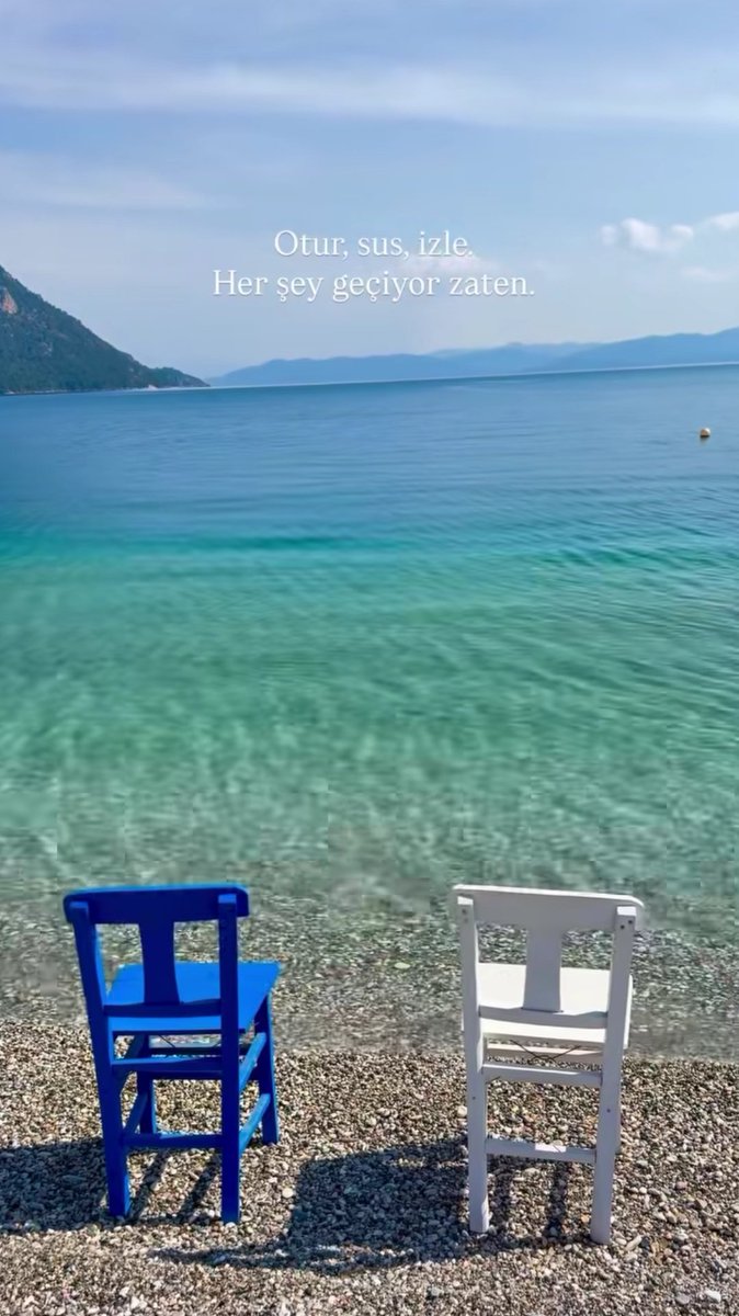 A_Y_L_A-2035💙🐬🌼 tweet media