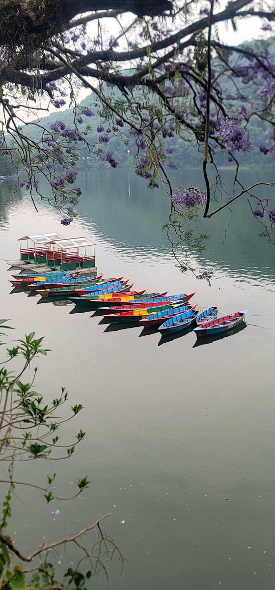 in2Nepal's tweet photo. सुन्दर फेवाताल 😍, #pokhara #fewa #lake #nepal https://t.co/YHiI57fSBF