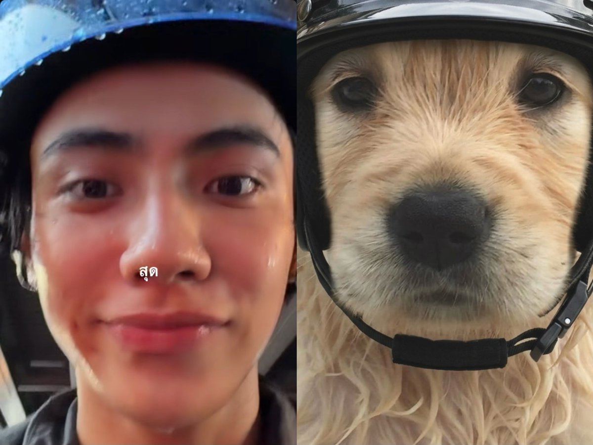 ‎ ‎ 𓈒 ⟡🧚🏻‍♀️ Peanut ୨ৎ 𓈒 ݁⋆ tweet media