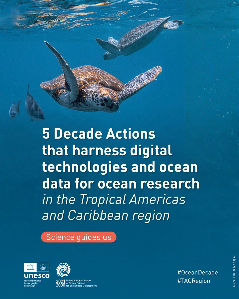 UNOceanDecade's tweet photo. The 2027 Ocean Decade Conference in Rio de Janeiro, Brazil is just one year away!
In the lead-up to it, we’re spotlighting #OceanDecade projects in the #TACRegion — starting with 5️⃣ projects leveraging digital technologies and open data for #OceanScience: https://t.co/yWXpbWzlrU https://t.co/4jWBfFDk0w