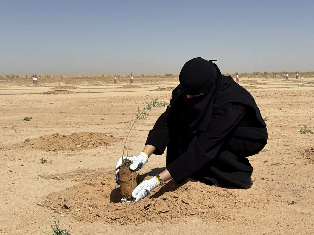 cc_ksu's tweet photo. بمناسبة #أسبوع_البيئة

نظّم  #كرسي_التغير_المناخي رحلة علمية إلى روضة الخفس بالتعاون مع هيئة تطوير #محمية_الملك_عبدالعزيز_الملكية، تضمنت التعرّف على النباتات في بيئتها الطبيعية، وتعزيز الغطاء النباتي بزراعة 200 شتلة بريّة في روضة الخفس الجنوبية.

#أثرك_أخضر
#جامعة_الملك_سعود https://t.co/cPrFS266bm