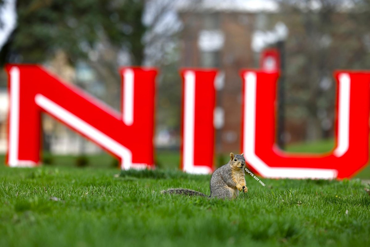 NIU tweet media