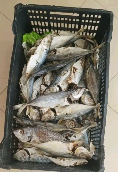 Agence Nationale de l'Aquaculture Sénégal tweet media