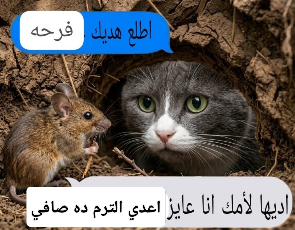 الجعبوق tweet media